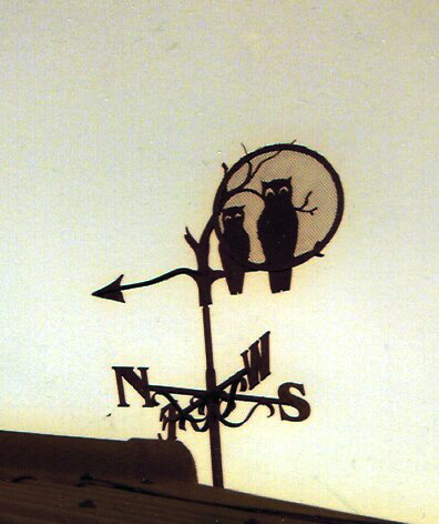 Owls weather vane